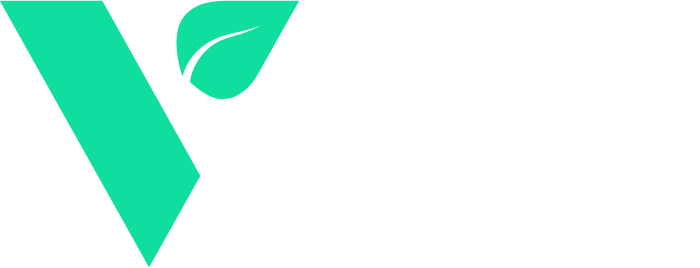 Valle Capital Token logo