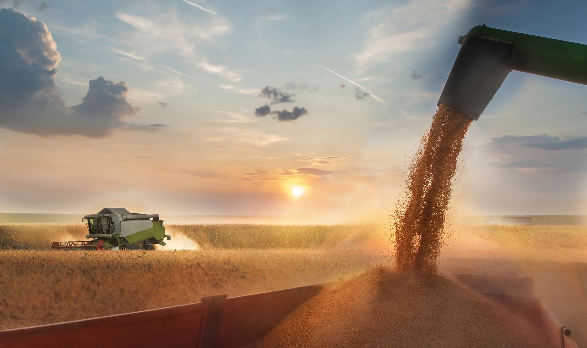 Agribusiness and export logistics